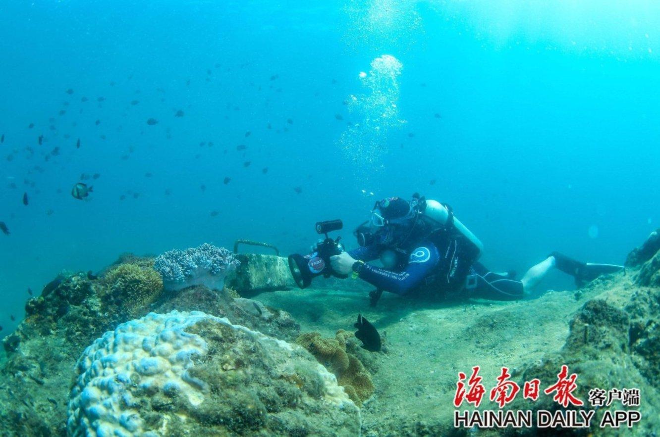 千年树屋逃脱2